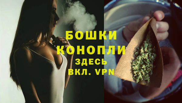 гидра Каменногорск