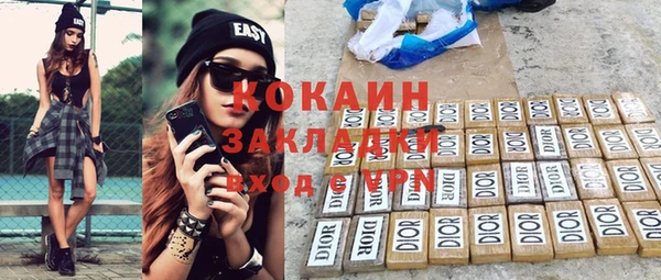 гидра Каменногорск