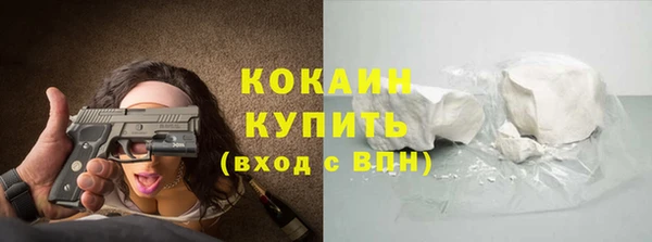 гидра Каменногорск
