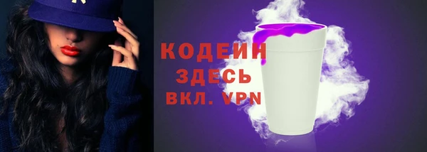 гидра Каменногорск