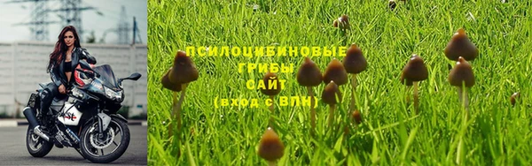 меф Каменка