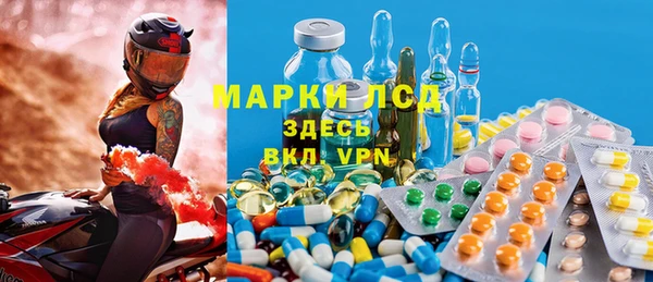 гидра Каменногорск