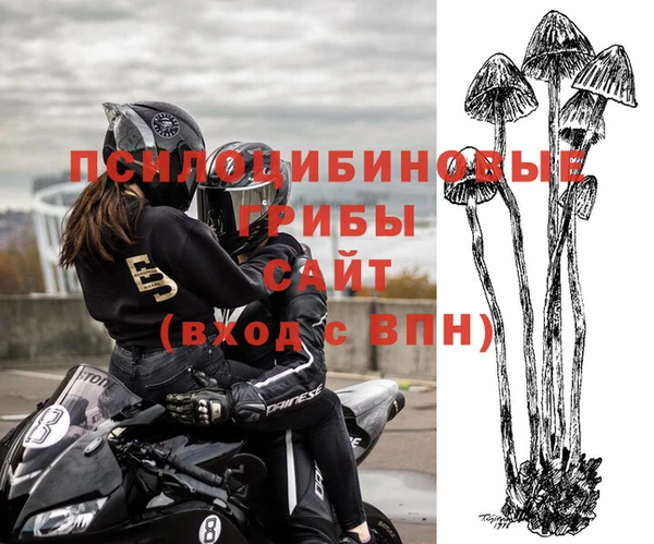 меф Каменка